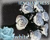 ✰SayYes! Roses White