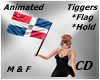 CD Flag Re Domenicana