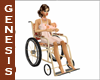 FE Maternity Wheelchair