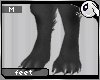 ~Dc) Grey Wolf Feet M