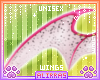 🌸; Pitaya Wings