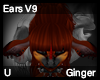 Ginger Ear V9