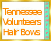 !D Tennessee Vols Bows