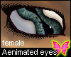 AENIMAted Eyes [F]