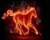 Flaming Stallion v2