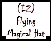 (IZ) Flying Magical Hat