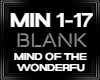 Mind Of The Wonderfu