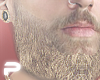 S.003 Beard [ASTERI]