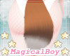 ⭐: Fox Tail Smol