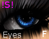 !S! Dark Blue Eyes