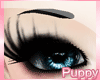 [Pup] Azn Eyebrows Night