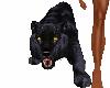 Panther Cat PET Left
