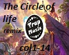 Lion King-Circle of life