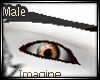 (IS)Steampunk Bronze Eye