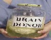 Brain Donor