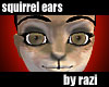 Squirrel Ears