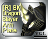 BK Dragon Arm Plate[R]