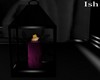 Iris Lantern Candles