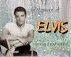 Memory of Elvis