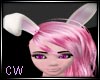 Animated Bunny Ears