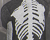 Skeleton Hoddie ®