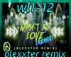 wl1-12 what is love