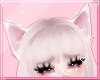 ℓ cat ears white