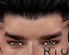 32. Head (RI0)