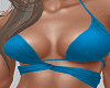 Sexy Blue Bra