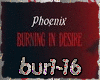 [Mix]  Burning In Desire