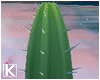 |K ND Cactus
