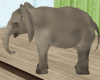 JZ Jungle Baby Elephant