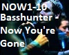 basshunter-now you're go