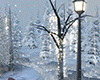 Winter PhotoR