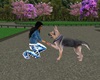 My Pet German Shepard
