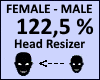 Head Scaler 122,5%