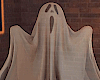 Halloween Ghost Flying
