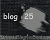 Robert Plant - Big Log