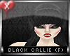 Black Callie