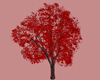 Valentine Tree Decorate