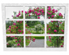 ~Rz~Rose Garden Window