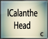 C' lCalanthe C. Head..!