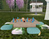 Spring 40% Picnic Table