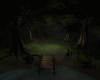 Night Mystical Forest