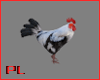 PL Animated Rooster