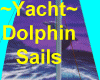 ! Yacht ~ Dolphin Sails