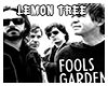 Fool's Garden Lemon Tree