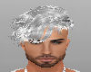 *Snow* Silver Greco
