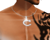 ( C ) necklace
