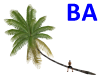 [BA] Side Palm Tree